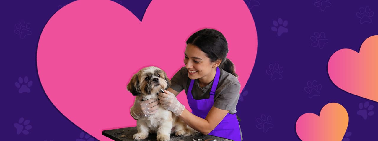 Professional pet grooming banner