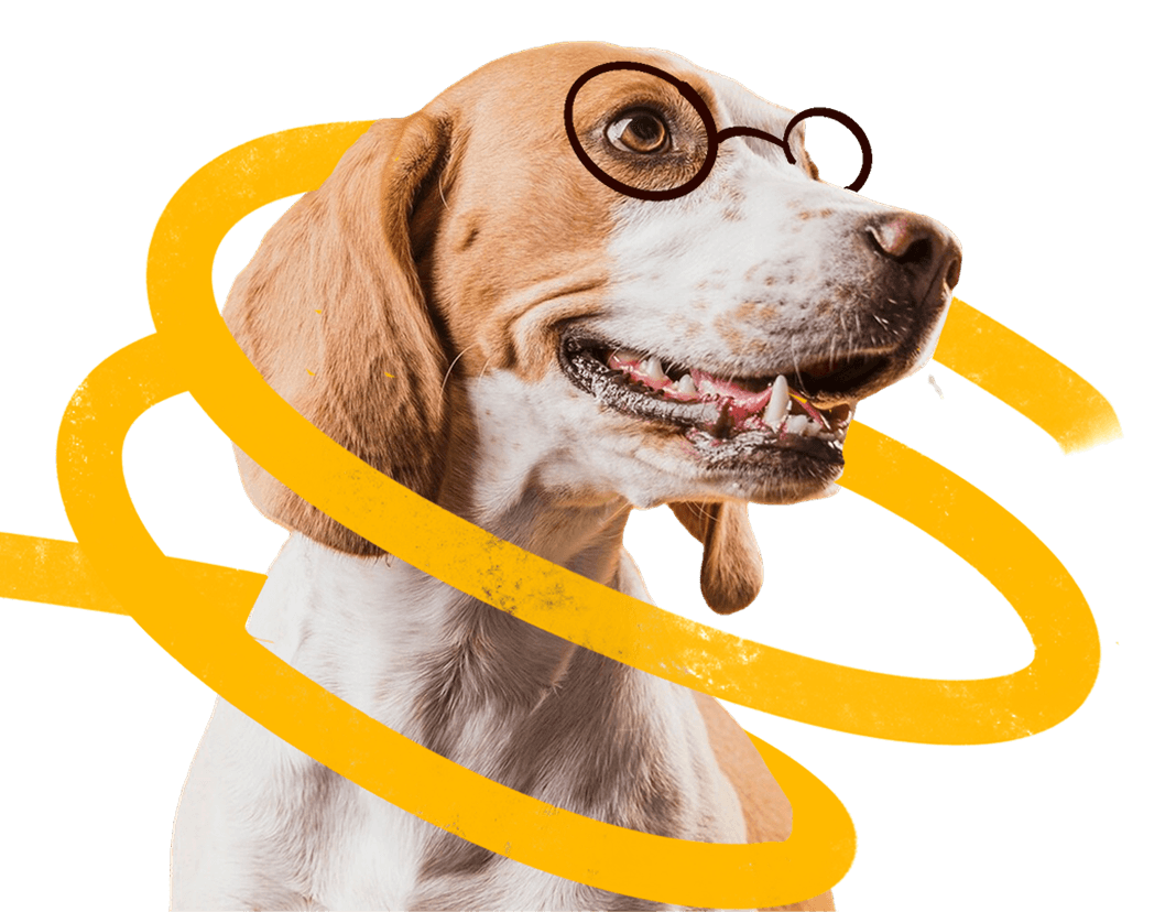 Friendly dog illustration