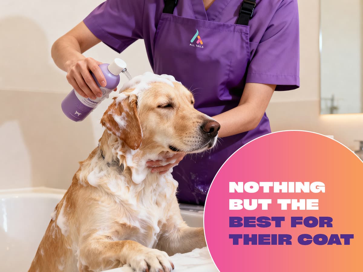 Premium grooming products